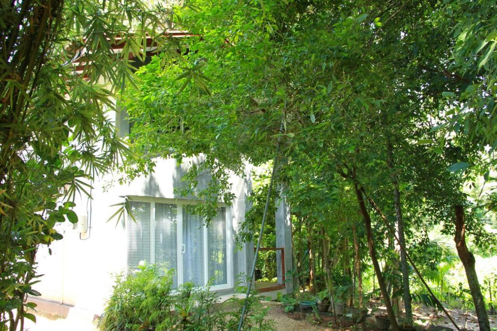 Villa Executive Residency Retreat Hikkaduwa Exterior foto